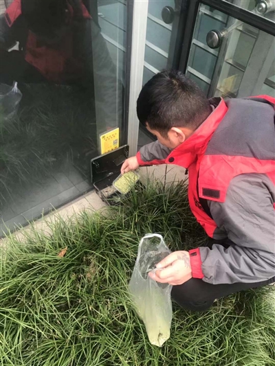 灭鼠推迟致成都多家企业复工后遭遇鼠患 灭鼠药供不应求