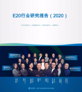 E20研究院2020全年行业研究系列报告