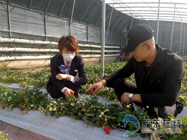 2.考察”鲁担惠农贷“客户_副本