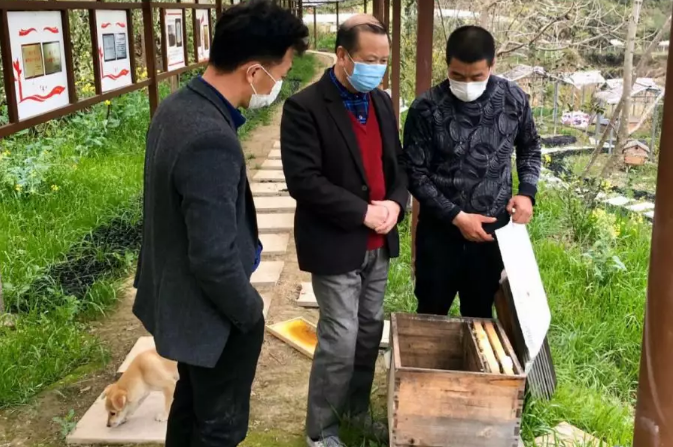 温州泰顺：从“云上见”到“田间见” 科技特派