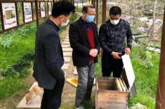 温州泰顺：从“云上见”到“田间见” 科技特派