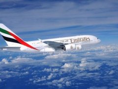阿联酋航空暂停客运服务