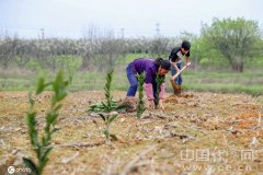 【评新而论·大国经彩】坚定信心 在疫情考验下