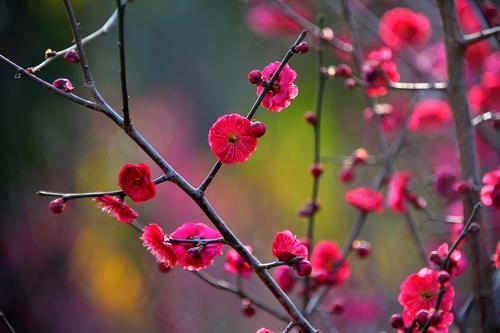 洛平:让政策跑在受困企业前面