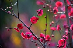 洛平：让政策跑在受困企业前面