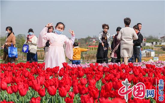 “句容人游句容”赏春之旅正式启动