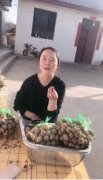 全国人大代表梁倩娟：以直播带货打开电商扶贫