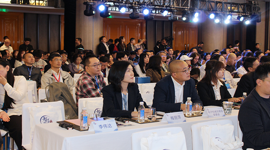 2019杭州国际人才交流与项目合作大会开幕，佗鹊