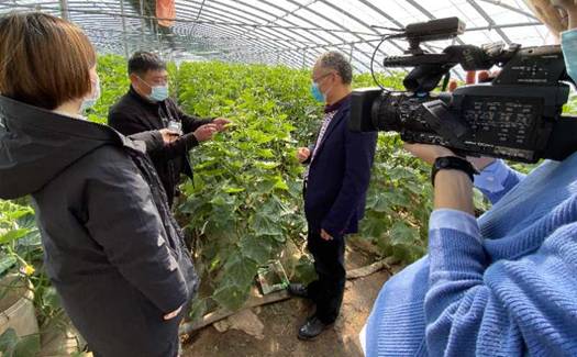 “战疫情，促发展”市农科院科技特派员系列行动