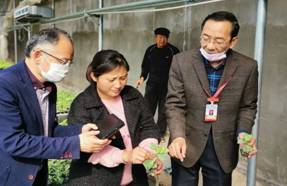 “战疫情，促发展”市农科院科技特派员系列行动