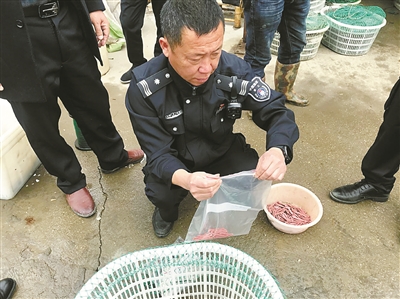 宁波发文规范蟹类捆扎销售行为 捆扎物不得超单