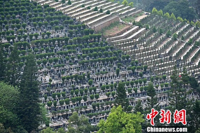 代客祭扫的“95后”小哥哥：这份工作是在积德行