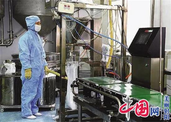 “开门红” 射阳跑好“冲刺路”