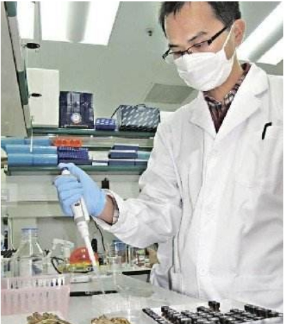 质检报告：龟巢阿胶质量超出行业标准