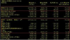 年报业绩预警后股价被打趴！不过这家公司正在转型升级 项目投入运营+两大热