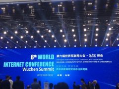 保险师亮相世界互联网大会，以数字经济创新行业未来