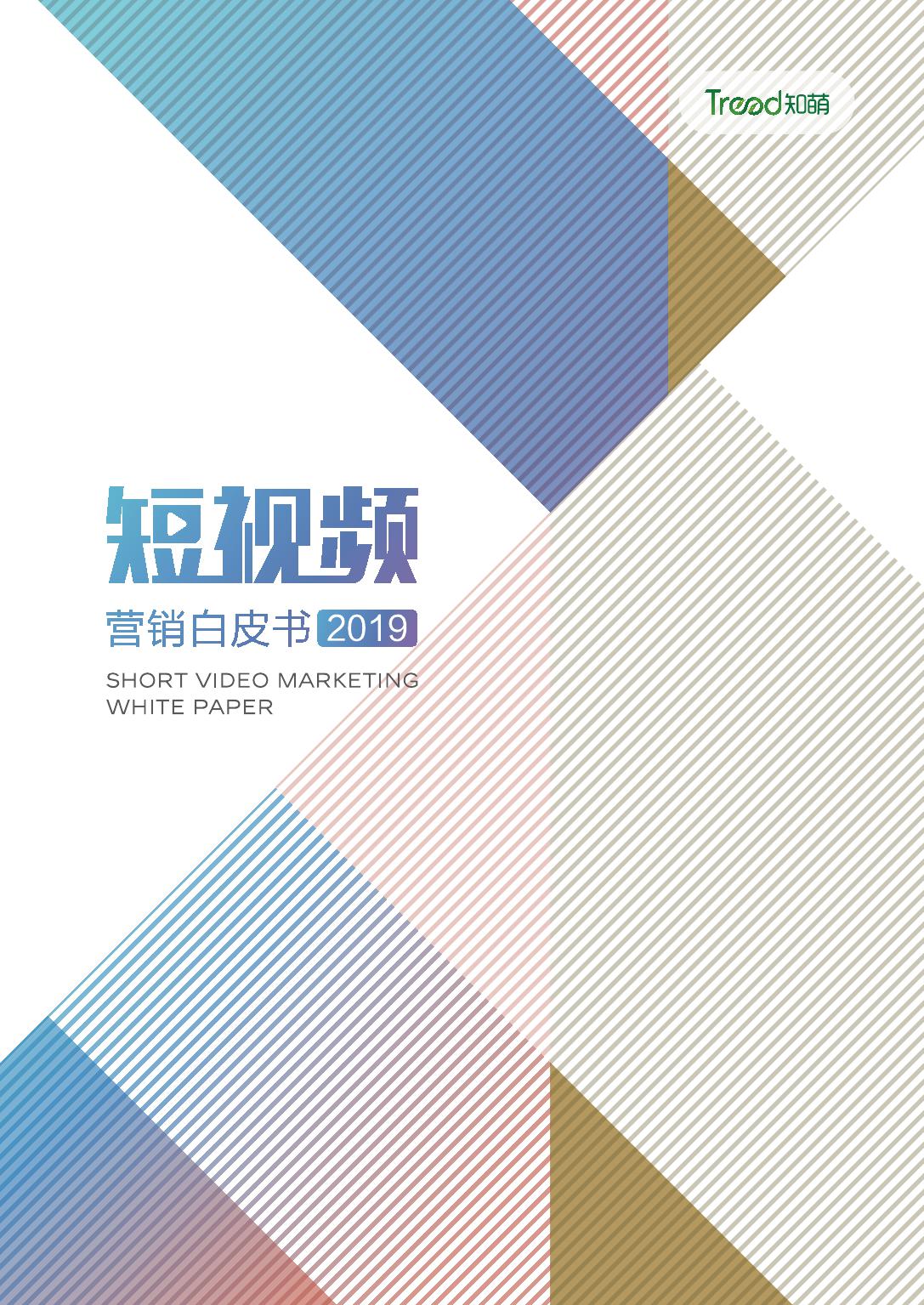 2019年短视频行业市场研究报告