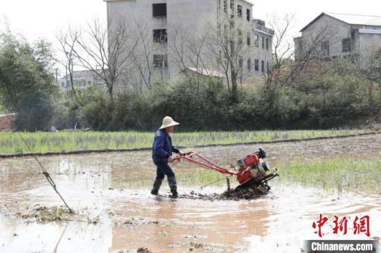 农业大省湖南今年将建10大设施农业示范基地