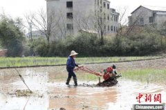 农业大省湖南今年将建10大设施农业示范基地