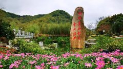 <b>安吉坚持践行“两山”理念，绿水青山源源不断</b>