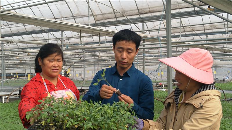 施足“科技肥” 收获“满眼绿”