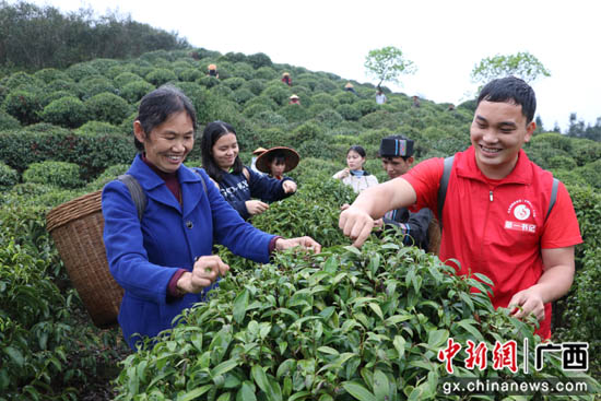 广西桂林平乐县因地制宜发展产业