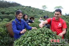 广西桂林平乐县因地制宜发展产业