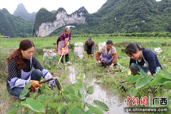 广西桂林平乐县因地制宜发展产业