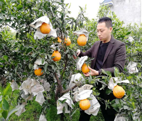 西昌突发森林火灾 会员捐赠献爱心