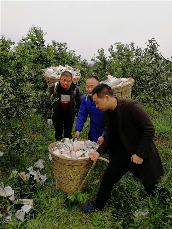 西昌突发森林火灾 会员捐赠献爱心