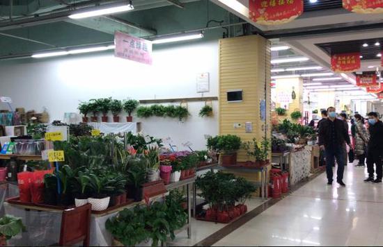 实探郑州陈寨花卉市场：行业遭遇最难熬春季，商家期待抓住春天的尾巴