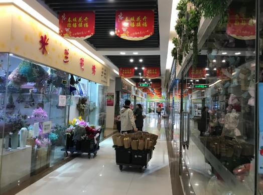实探郑州陈寨花卉市场：行业遭遇最难熬春季，商家期待抓住春天的尾巴