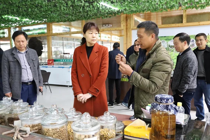 金艳调研中药产业发展工作时要求 巩固传统优势