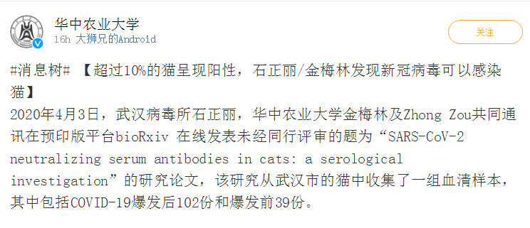 每日经济新闻午时丨锤子科技及罗永浩被限制高消费；全国城市地面公交、轨道交通恢复运营；研究发现：武汉猫群感染新冠病毒，或由人传播