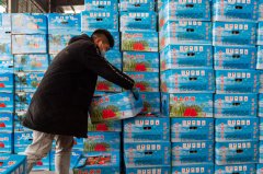 湖北襄阳：各类企业复工复产工作有序推进