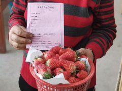 莱西：农品“身份证”让百姓放心“购”
