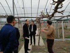 安徽科技学院多措并举开展驻村帮扶