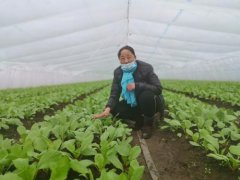 精准施策有序推动企业全面复工复产