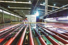 中国房地产开发企业500强首选品牌发布 北玻股份