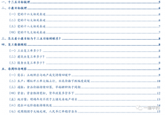 张瑜：十三五和小康要完成什么？