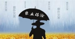 加快推动农业保险高质量发展