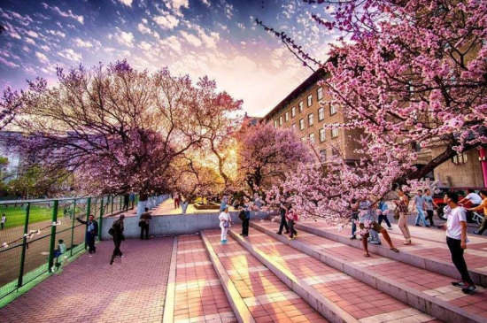 致敬云南英雄！俊发集团推出购房优惠政策，让