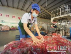 荆门市石牌食品按下复产“快进键”