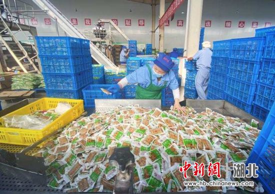 荆门市石牌食品按下复产“快进键”