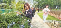 崇左启动“广西人游广西文旅行业复苏行动”