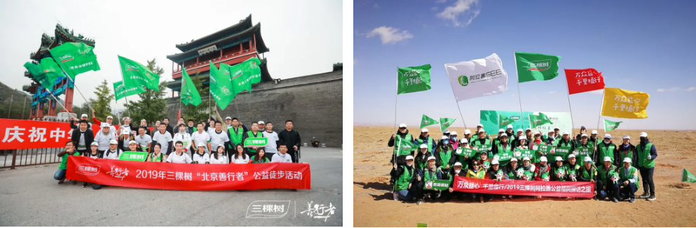 2019年度报告丨三棵树涂料稳健经营，树行业标杆