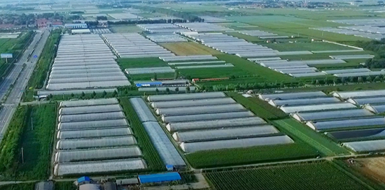 人民网新电商研究院发布《疫情挡不住电商振兴产业路》报告