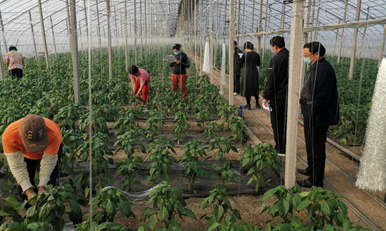人民网新电商研究院发布《疫情挡不住电商振兴产业路》报告
