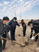 通辽市就业与人才服务中心开展“植树绿化助力脱贫”主题党日活动