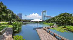 三棵树涂料2019年度报告 稳健经营树行业标杆
